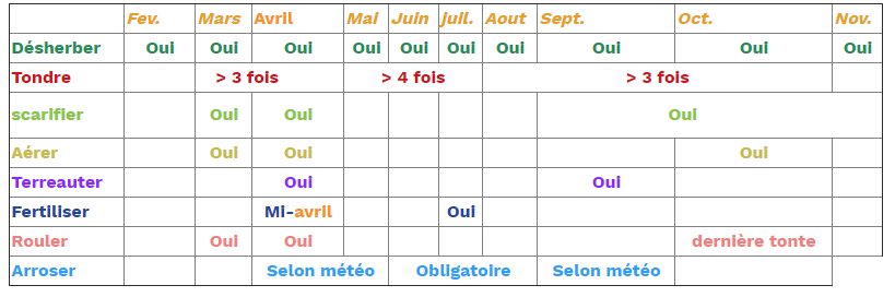 Actions à mener pour entretenir son gazon 